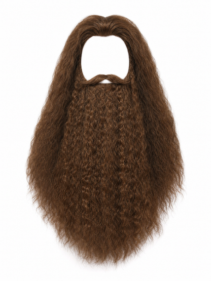 Wizard Costume Wig and Beard