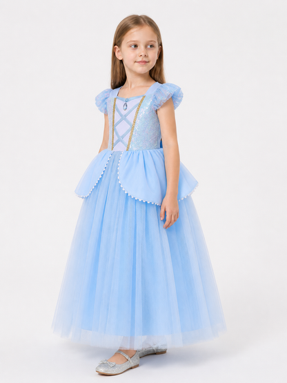 Light Blue Princess Costume Dress for Halloween