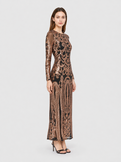 Long Sequin Dress with Sheer Sleeves