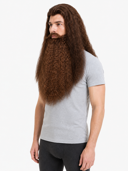 Wizard Costume Wig and Beard