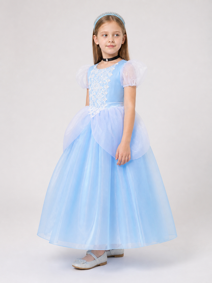 Blue Princess Halloween Costume