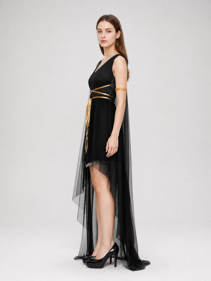 Costume with Dress and Long Sheer Cape side view