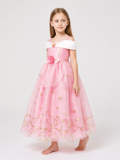 Princess Costume in Pink and Gold Tones