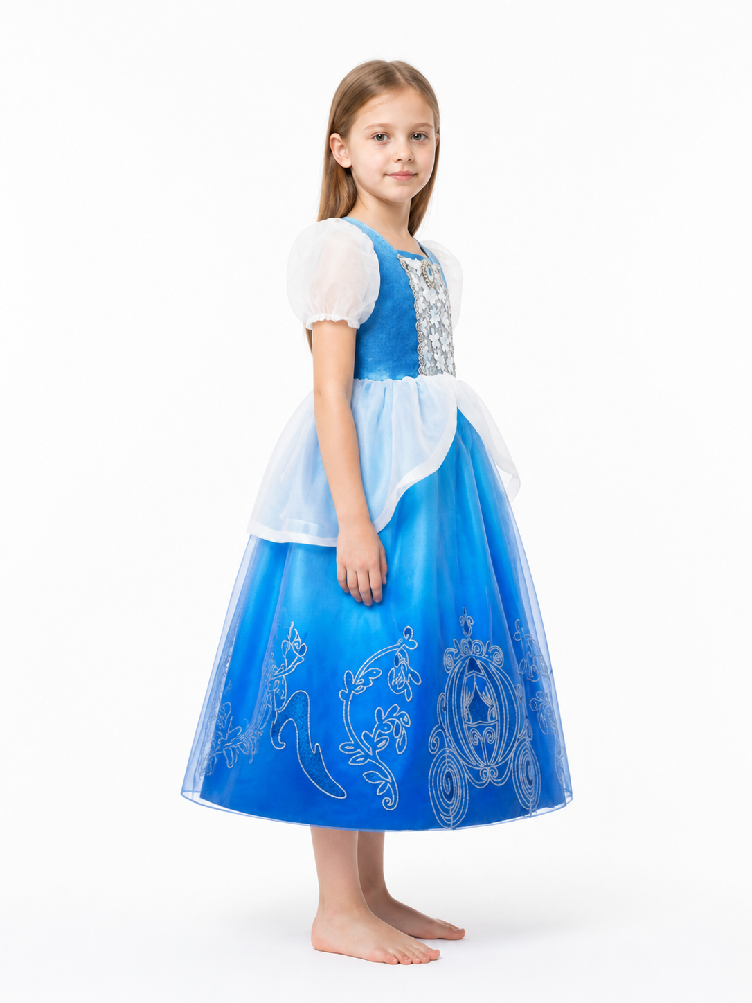 Carnival Dress with Carriage and Flower Embroidery side view