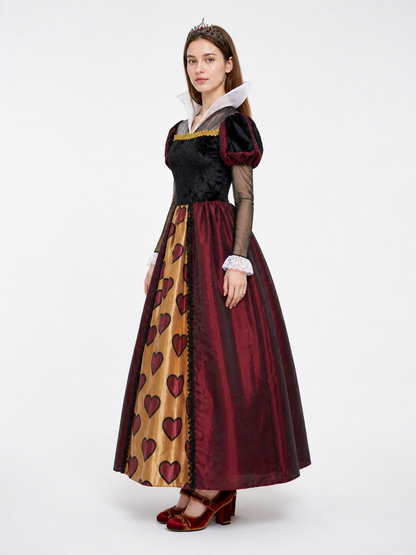 Stage Costume with Full Skirt, Sleeves, and Lace side view