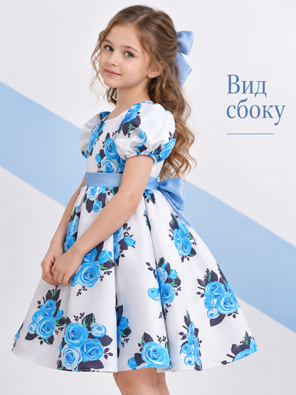 Girls' White Dressy Dress with Blue Roses and a Bow