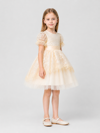 Elegant lace dress with a full skirt and bow side view