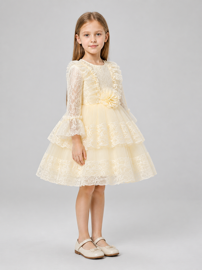 Festive Dress with a Full Tulle Skirt and Lace side view