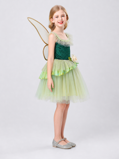 Fairy Costume with Wings and a Full Skirt