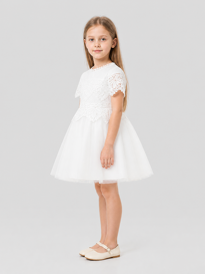 Dressy Lace and Embroidered Dress with Full Skirt side view