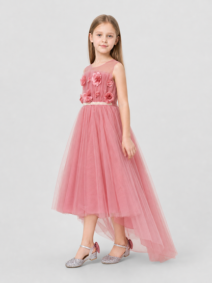 Dressy Dress with a Full Skirt, Bow, and Train side view