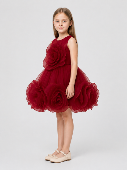 Burgundy Puffed Dress with a Layered Skirt and 3D Flowers side view