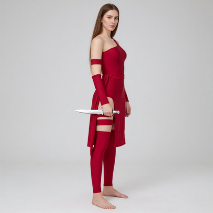 Marvel Elektra Red Cosplay Costume with Accessories