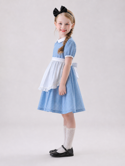 The dress is designed in a retro style, combining a blue-and-white small check pattern with distinctive white details. A white apron-like insert is featured on the front, while the white Peter Pan collar and white waist detail reinforce the