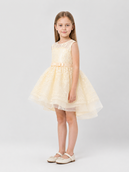 Full Dressy Girls’ Dress with a Tulle Skirt and Bow