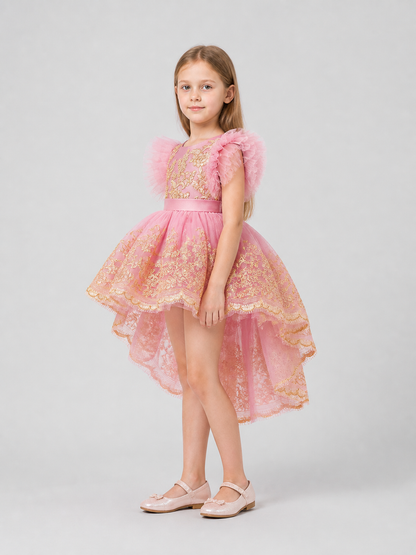 Elegant Full-Skirt Dress with Embroidery and Train for Performances side view