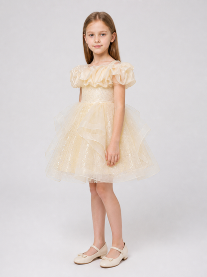 Festive Sequin Dress with a Full Skirt