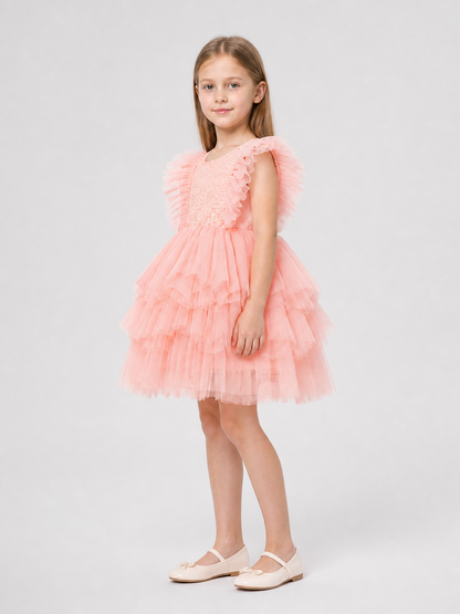 Lace and Tulle Princess Dress for a Birthday
