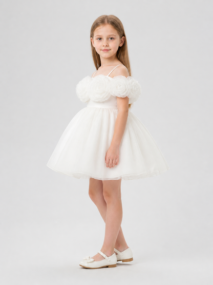 Princess Dress with Rose and Full Skirt for Performances side view