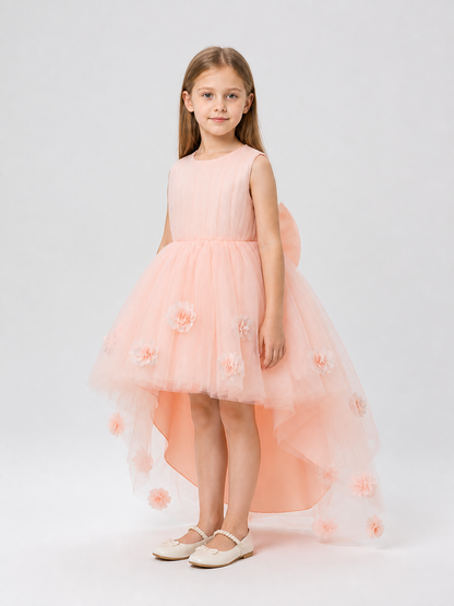 Sleeveless Children's Tutu Dress with Flowers and a Train side view