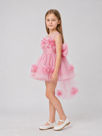 Princess Dress with a Full Skirt L6162 for Banquets side view