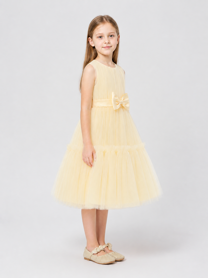 Full Champagne Mesh Dress with Bow side view
