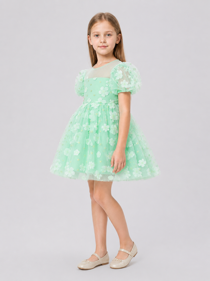 Mint Princess Dress for Girls with a Tulle Skirt side view