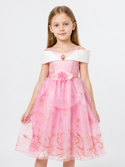 Princess Costume in Pink and Gold Tones