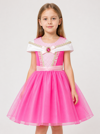 Princess Costume for Halloween and Cosplay