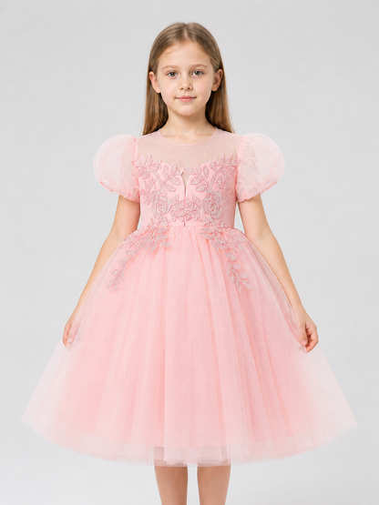 Festive Princess Dress with a Full Skirt and Embroidery Costume Dresses detail 3