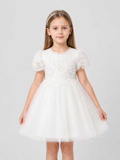 Dressy Lace and Embroidered Dress with Full Skirt Costume Dresses detail 3