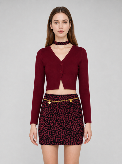 Mary Cosplay Costume: Burgundy Top and Skirt