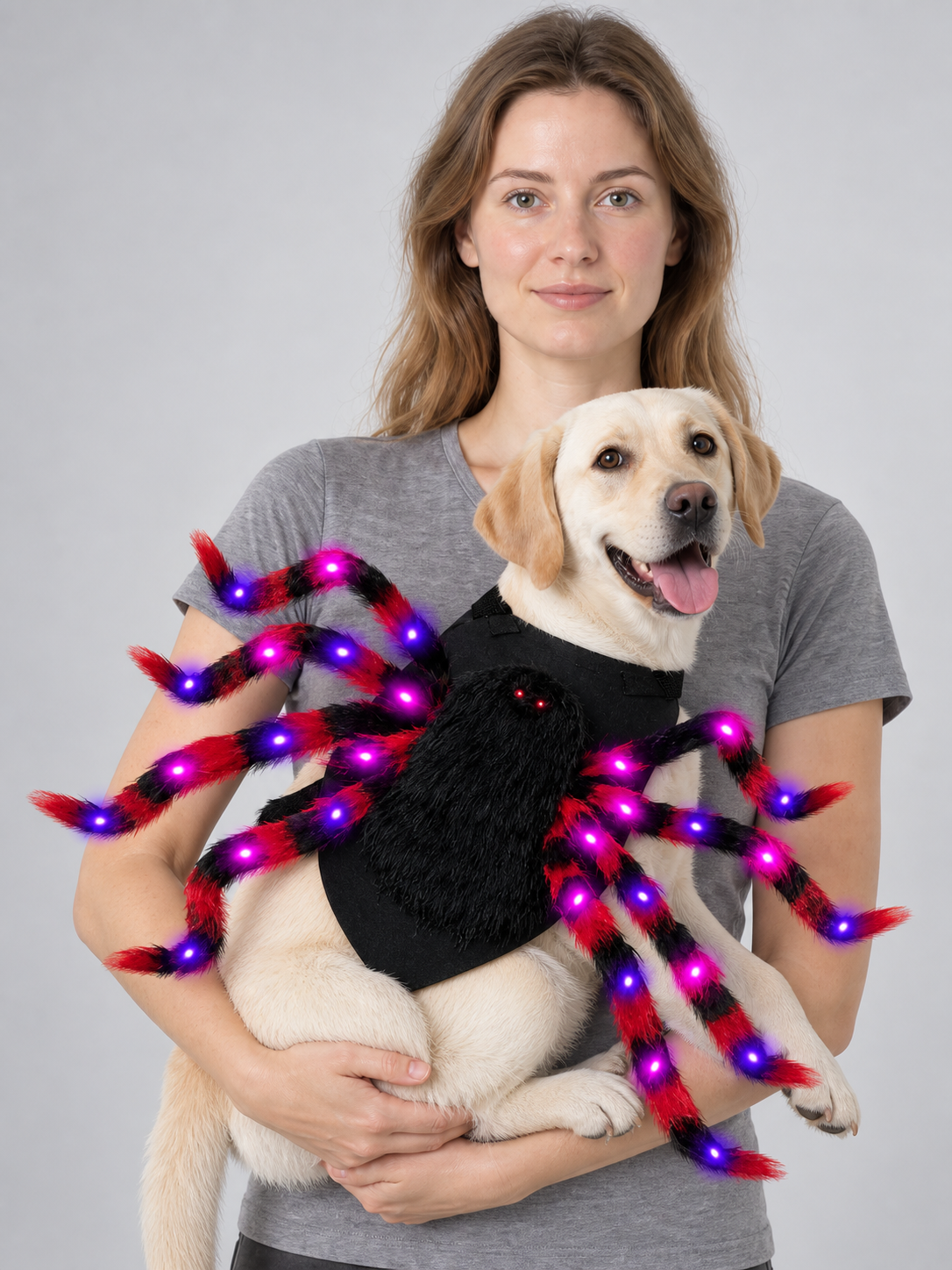 Spider Costume for Dogs with Purple Lights