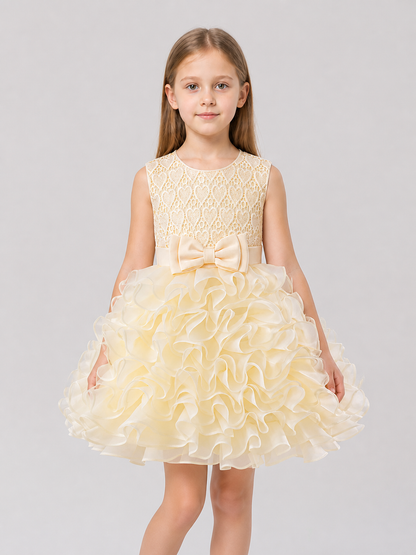 Girls' Dressy Lace Dress with a Full Skirt Costume Dresses detail 3