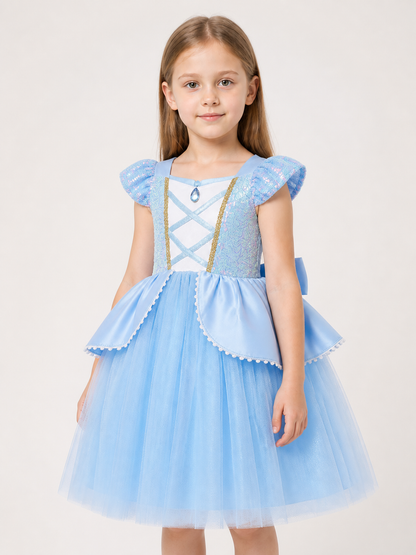 Light Blue Princess Costume Dress for Halloween
