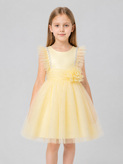 Formal Tutu Dress with a Multilayer Tulle Skirt Costume Dresses detail 3