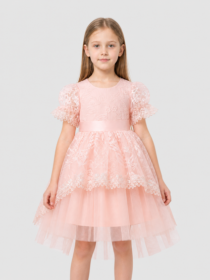 Pink Princess Dress for Girls with Embroidery and Lace Costume Dresses detail 3