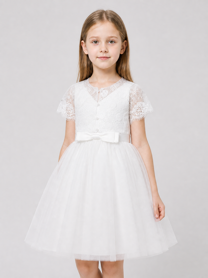 Princess Dress with Lace Embroidery for Flower Girls Costume Dresses detail 3