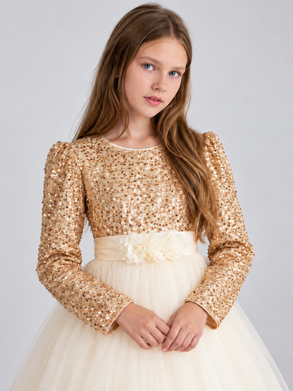 Formal Dress with Sequins and Fluffy Tulle Skirt