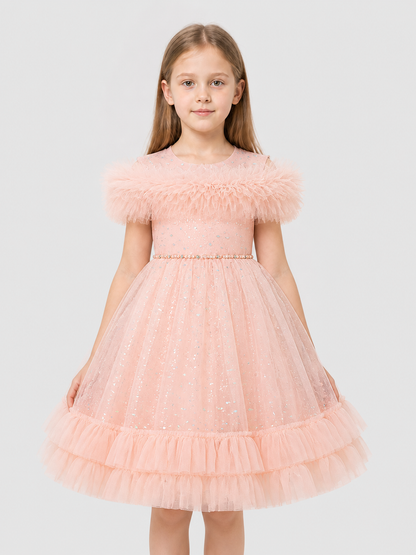 Pink Princess Dress with Sequins and Tulle Costume Dresses detail 3