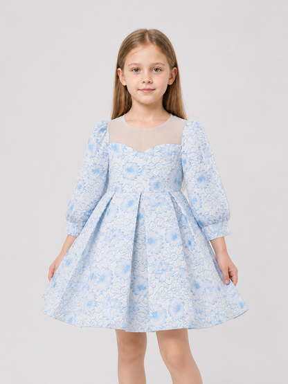 Light Blue Princess Dress for Girls with Long Sleeves