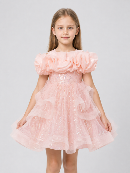 Festive Sequin Dress with Full Tulle Skirt Costume Dresses detail 3