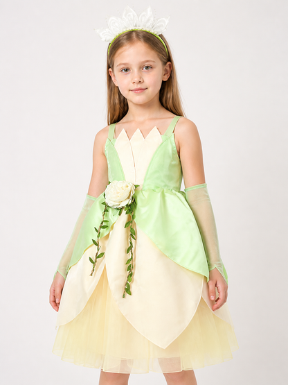 Princess Costume for Halloween and Cosplay