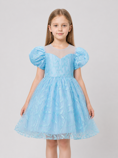 Embroidered Tutu Dress for Birthdays and Performances Costume Dresses detail 3