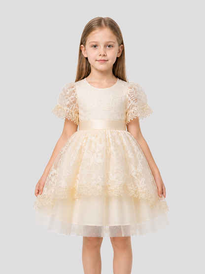 Elegant lace dress with a full skirt and bow Costume Dresses detail 3