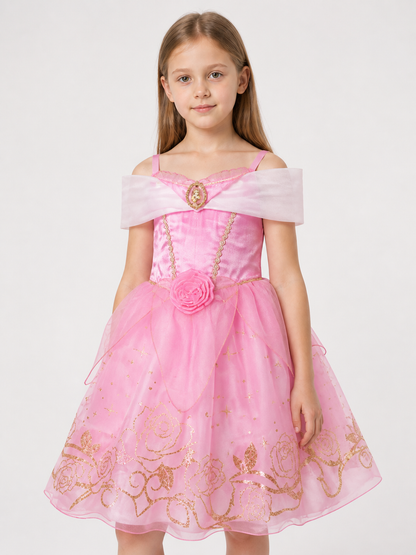 Princess Costume for Halloween and Cosplay Costumes detail 2