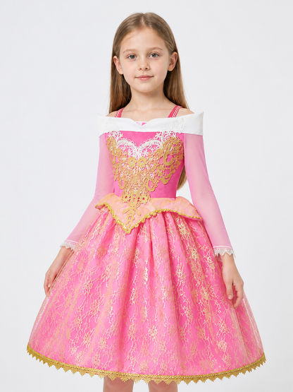 Princess Costume Dress for Halloween and Cosplay Costume Dresses detail 2