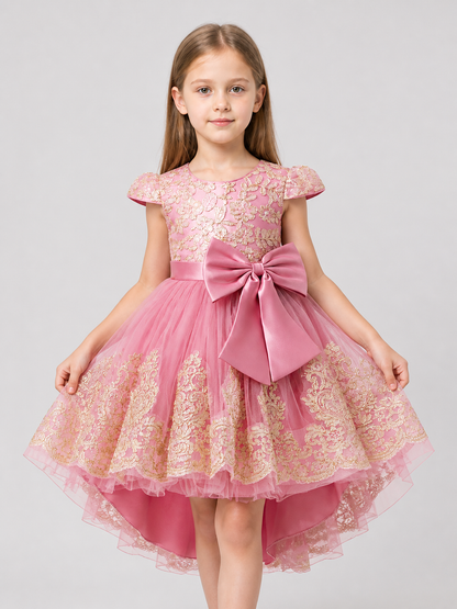 Party Dress with Gold Embroidery, Bow, and Train Costume Dresses detail 3