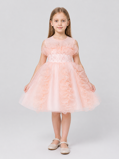 Dressy Princess Dress with Full Skirt and Flowers Costume Dresses detail 3