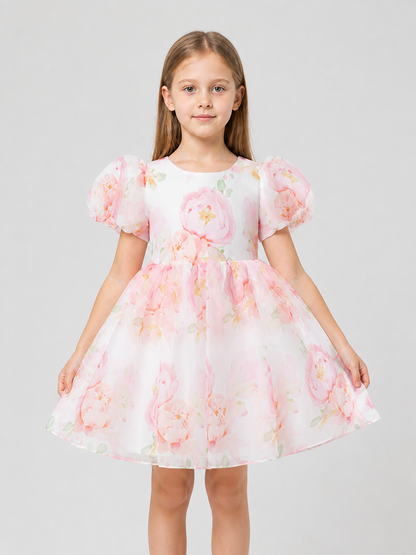 Princess Dress with Floral Print and Full Skirt Costume Dresses detail 3